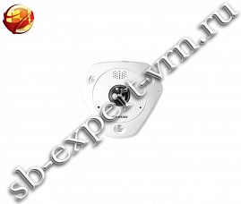 DS-2CD6332FWD-IS
